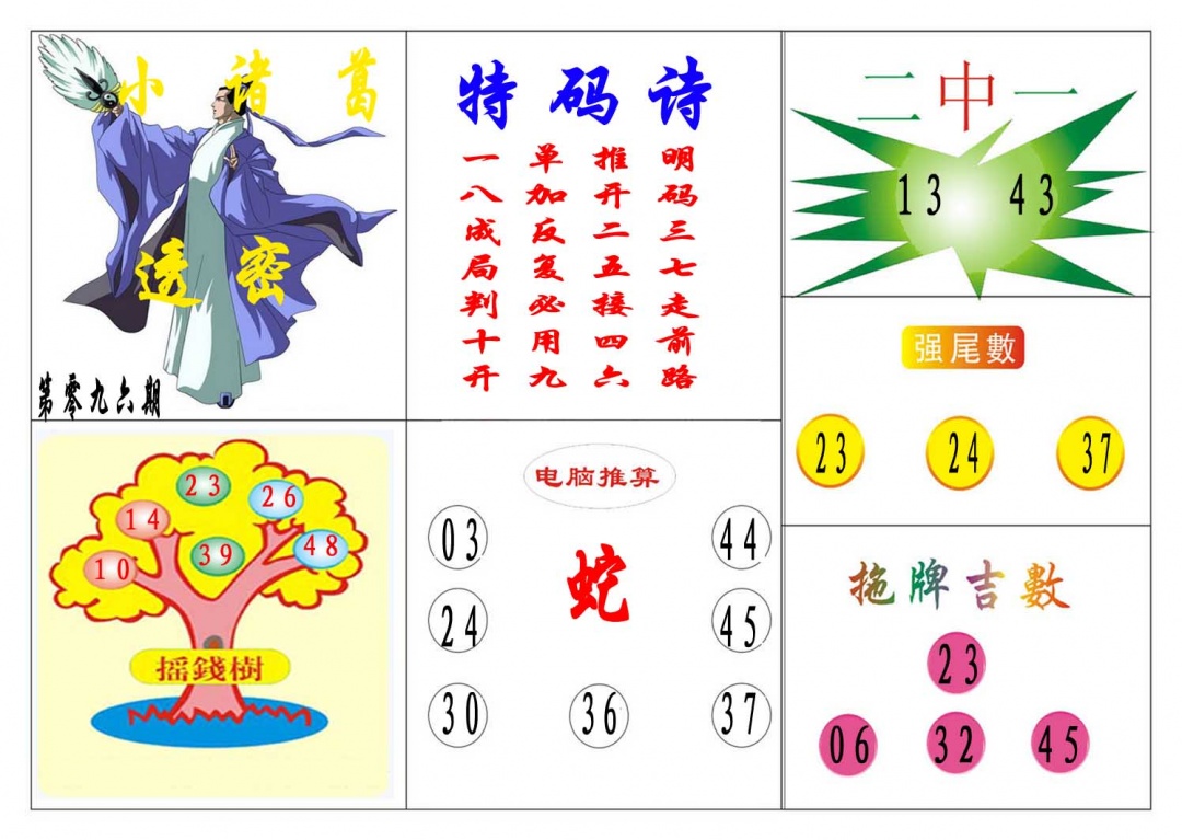 096期小诸葛[图]